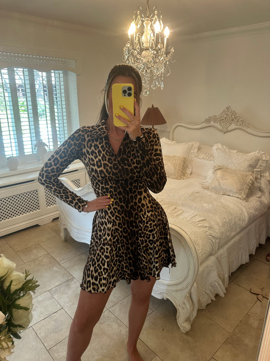 Leopard collard dress